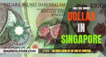 Using Brunei Dollars in Singapore: Is It Possible?