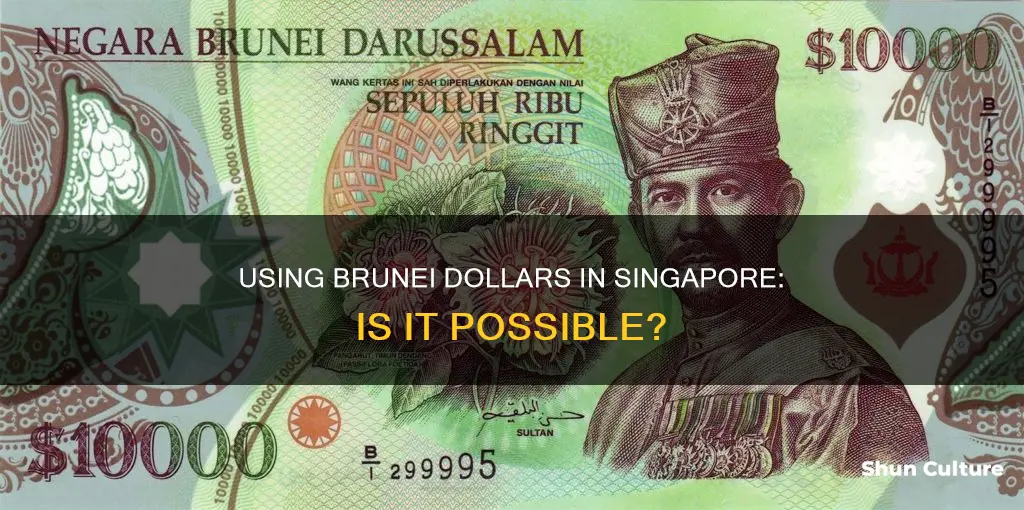 can I use brunei dollar in singapore