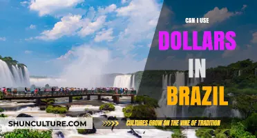 Using US Dollars in Brazil: What Travelers Need to Know