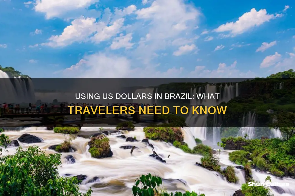 can I use dollars in brazil