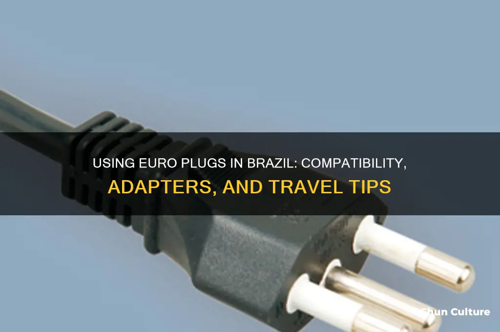 can I use euro plug in brazil