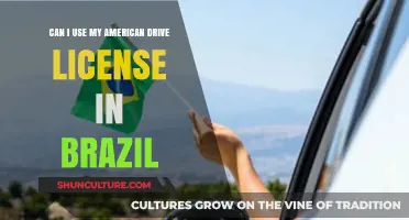 Driving in Brazil: Can You Use Your American License?