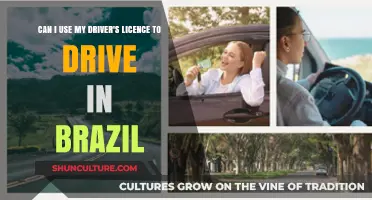 Driving in Brazil: Can Your Foreign License Be Used Legally?