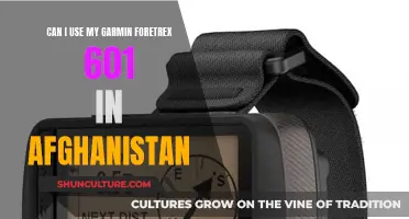 Garmin Foretrex 601: Navigating Afghanistan's Terrain