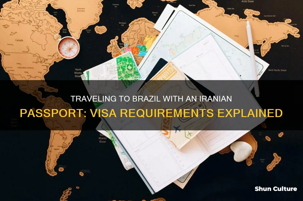 can I use my iranian passport to brazil