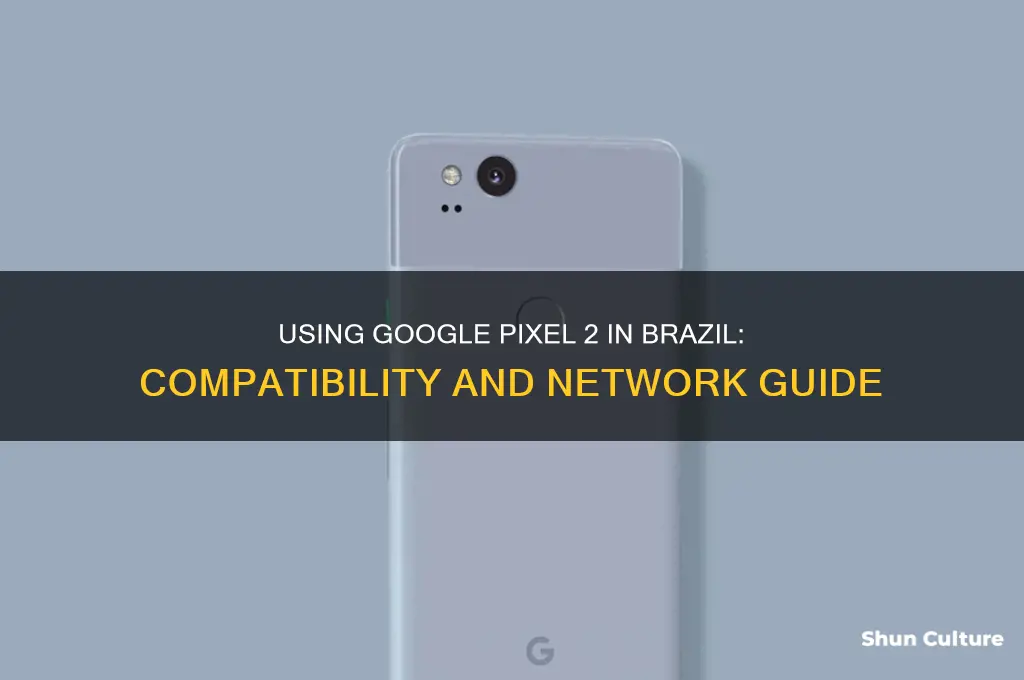 can I use my pixel 2 in brazil