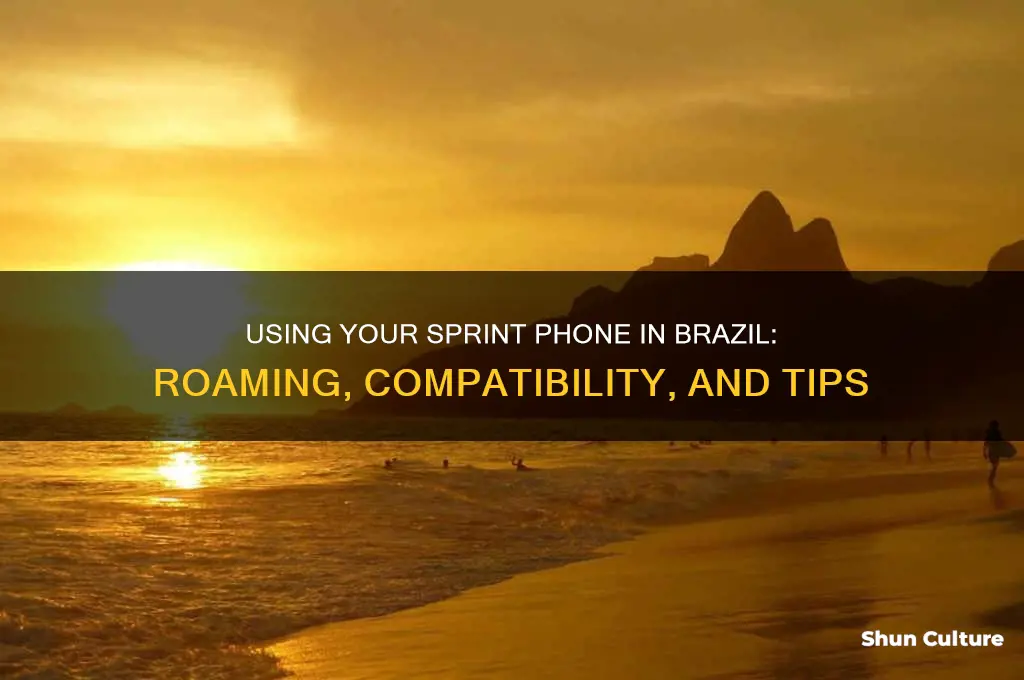 can I use my sprint phone in brazil