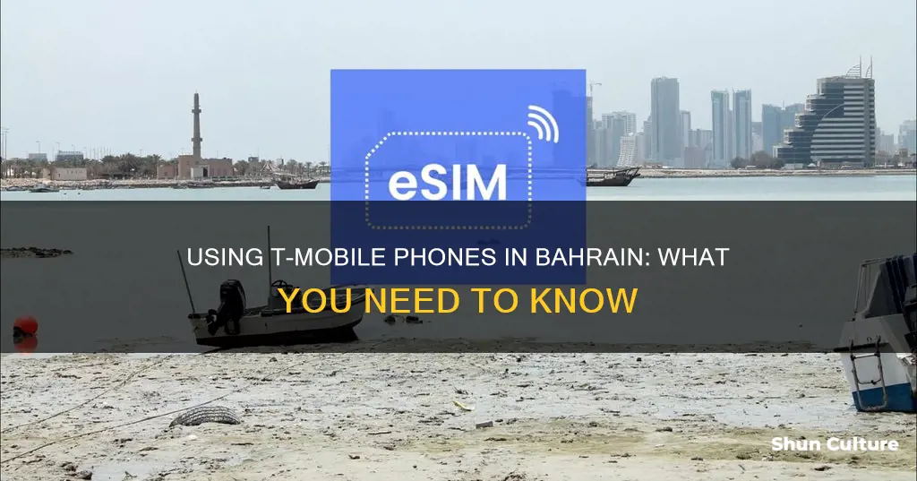 can I use my t mobile phone in bahrain