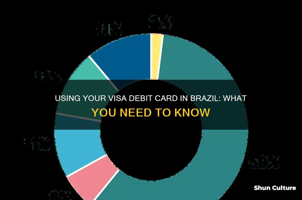 can I use my visa debit card in brazil