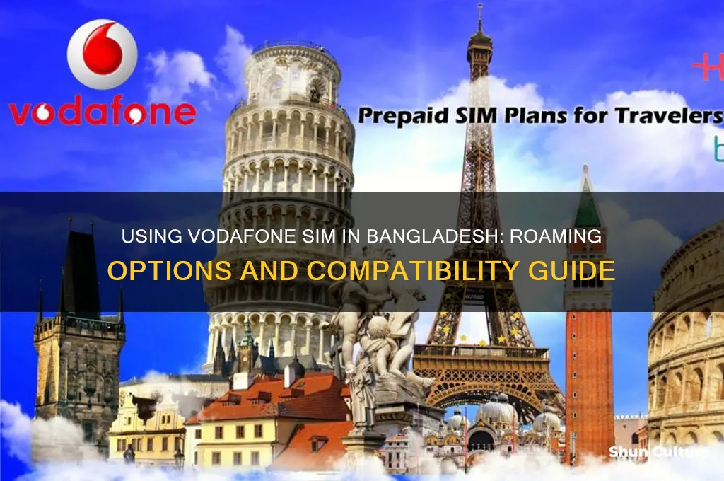 can I use my vodafone sim in bangladesh