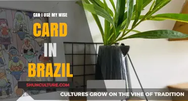 Using Wise Card in Brazil: Travel Tips and Payment Insights