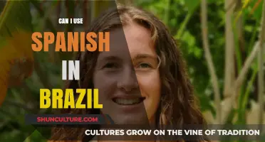 Speaking Spanish in Brazil: Practical Tips and Cultural Insights