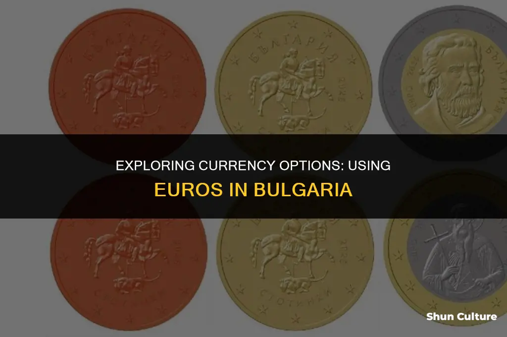 can I use the euro in bulgaria