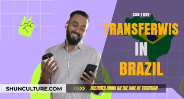 Using TransferWise in Brazil: A Comprehensive Guide for Expats and Travelers