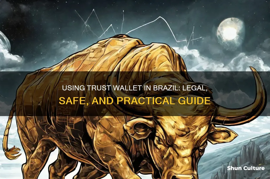 can I use trust wallet in brazil