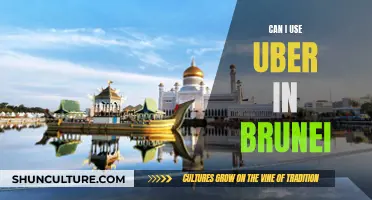 Using Uber in Brunei: Is It Possible?