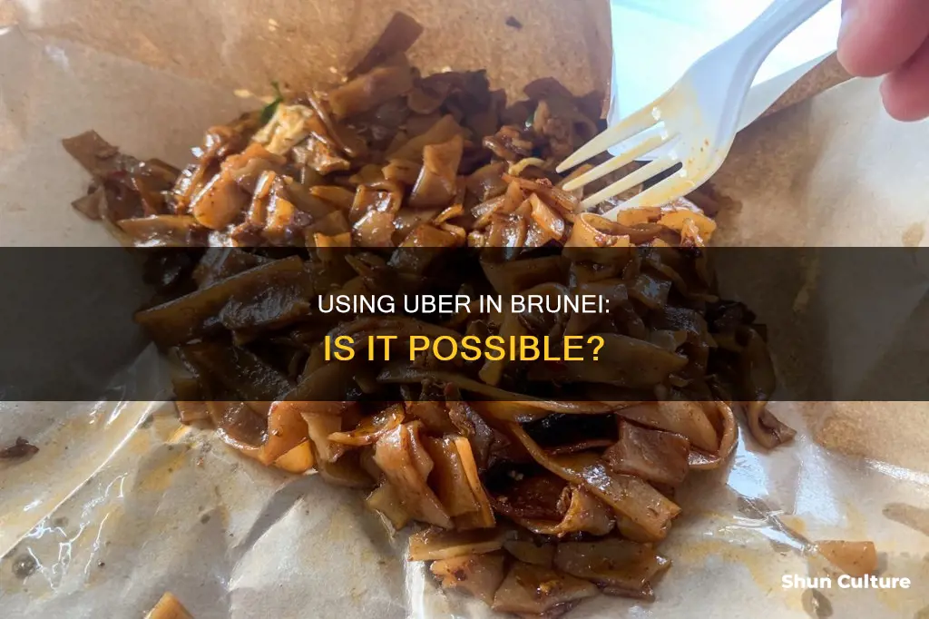 can I use uber in brunei