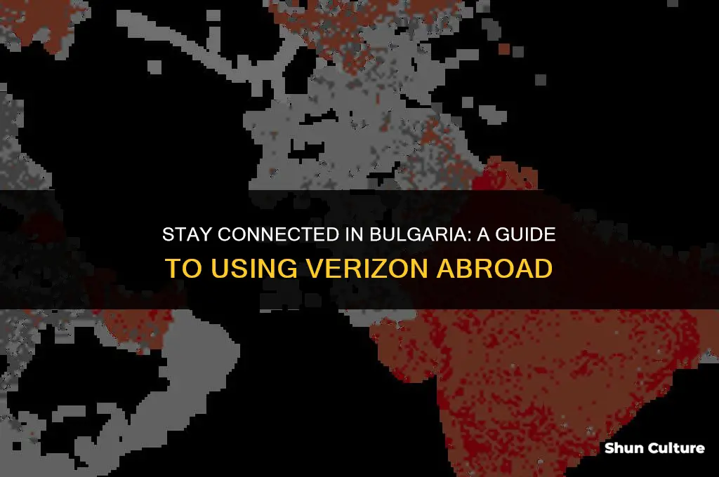 can I use verizon in bulgaria