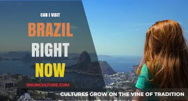 Traveling to Brazil Now: Current Entry Requirements and Safety Tips