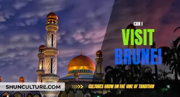 Exploring Brunei: Is It Worth the Visit?