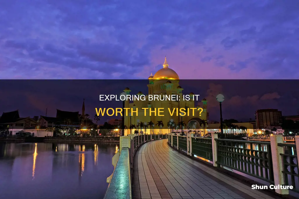 can I visit brunei