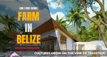 Exploring Ixchel Farm: A Belizean Adventure