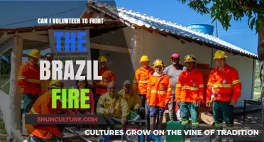 Volunteering to Combat Brazil's Wildfires: How You Can Help