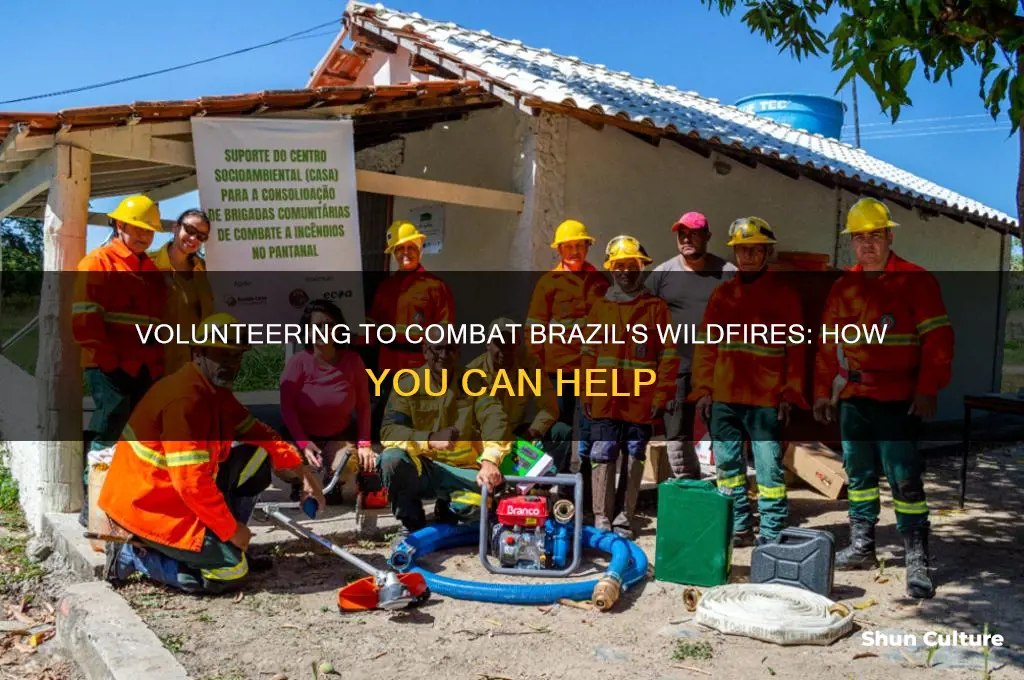 can I volunteer to fight the brazil fire