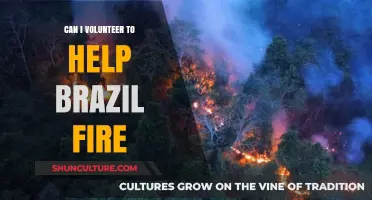 Volunteering to Aid Brazil's Fire Crisis: How You Can Help