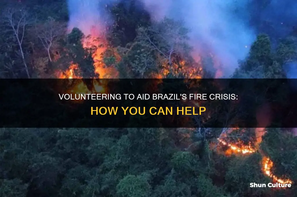 can I volunteer to help brazil fire