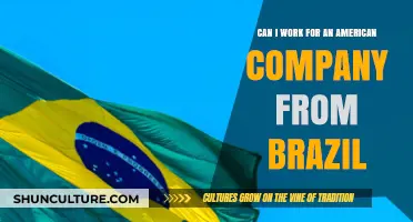 Working Remotely for US Companies: A Guide for Brazilians