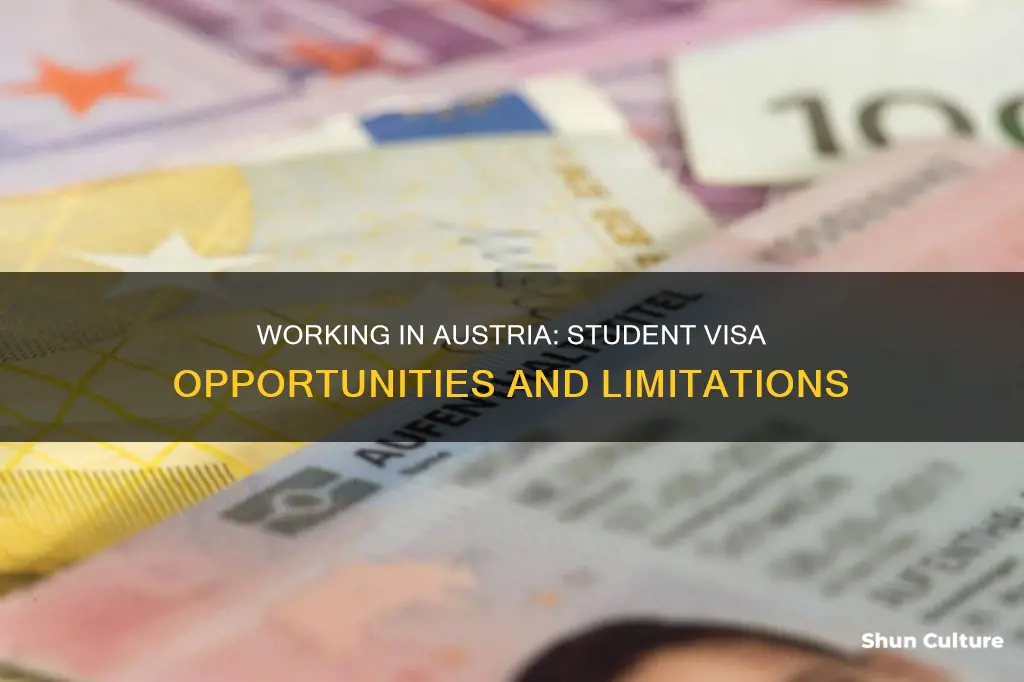 can I work in austria with a student visa