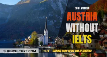 Working in Austria: Navigating Language Barriers Without IELTS