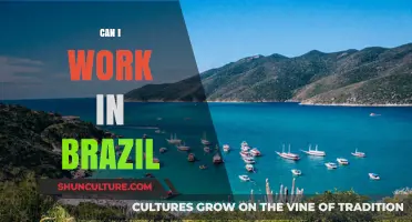 Working in Brazil: Visa Requirements, Job Opportunities, and Cultural Insights