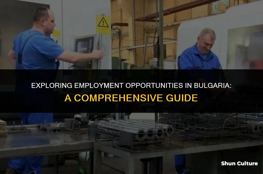 can I work in bulgaria