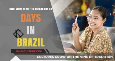 Working Remotely in Brazil: 90-Day Visa Options for Digital Nomads