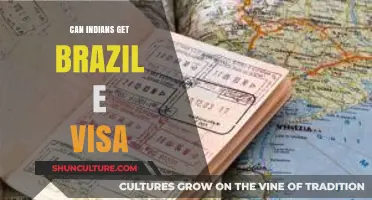 Can Indians Apply for a Brazil e-Visa? A Comprehensive Guide