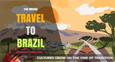 Can Indians Travel to Brazil? Visa Requirements and Tips