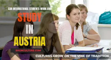 Work and Study in Austria as an International Student