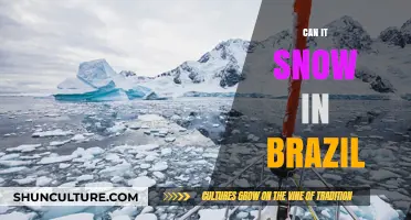 Can It Snow in Brazil? Exploring the Country's Climate Surprises