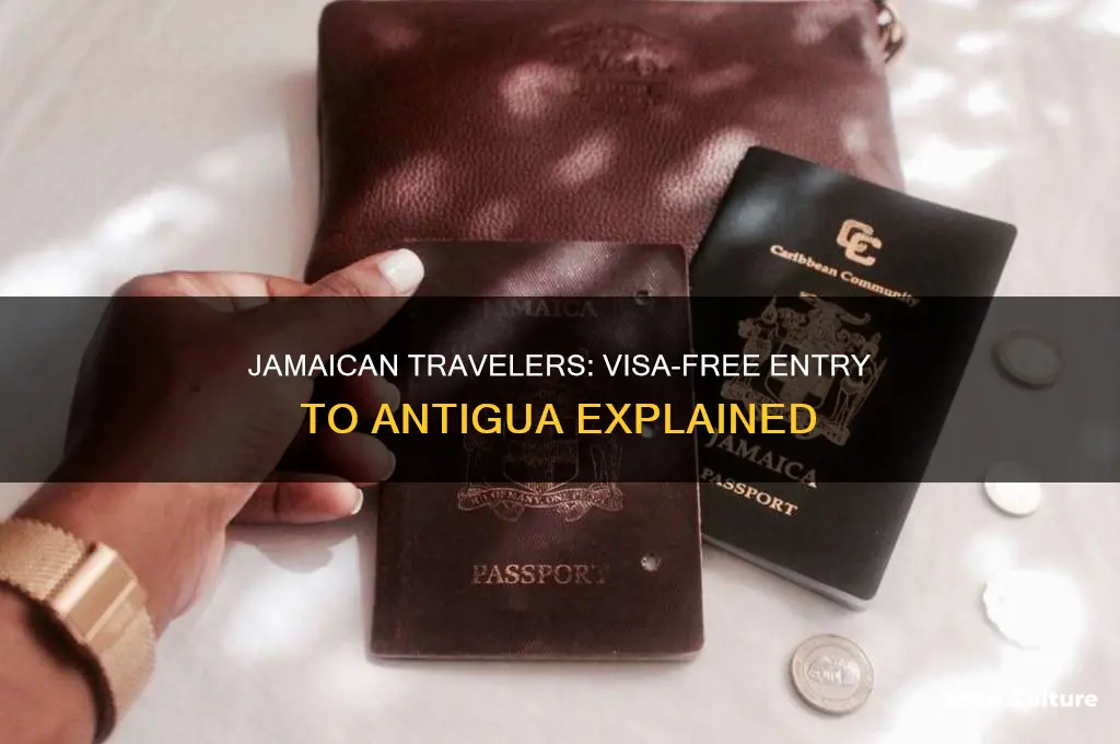 can jamaican go to antigua without visa