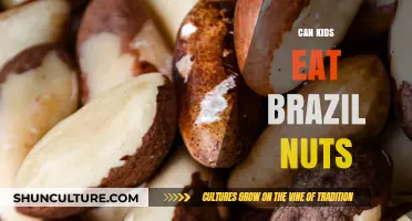 Can Kids Safely Eat Brazil Nuts? Nutritional Benefits and Risks Explained