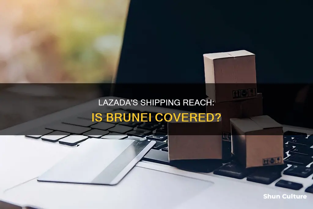 can lazada ship to brunei