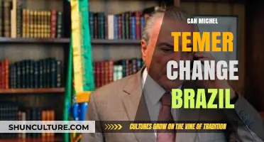 Michel Temer's Leadership: Can He Transform Brazil's Future?
