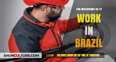 Moldovan Workers in Brazil: Visa Requirements and Job Opportunities Explained