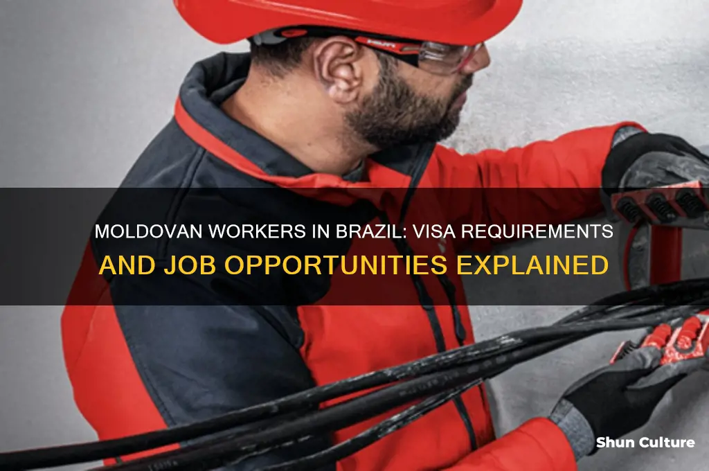 can moldovans go to work in brazil
