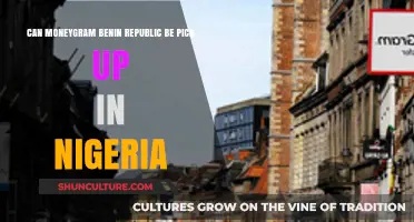 Sending Money Home: Can MoneyGram Benin Republic Be Picked Up in Nigeria?