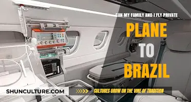 Flying Private to Brazil: Family Travel Options and Considerations