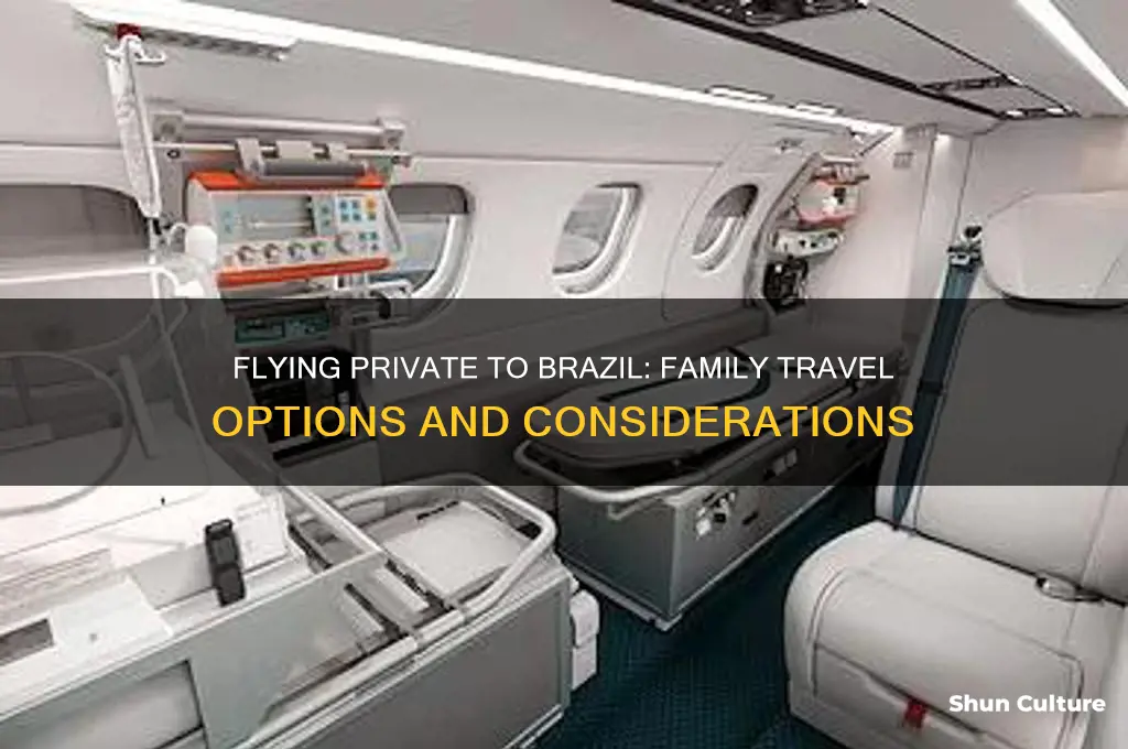 can my family and I fly private plane to brazil