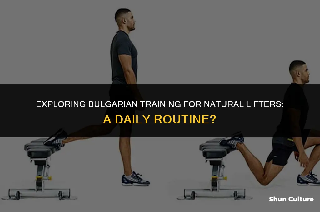can natural lifter do bulgarian daily